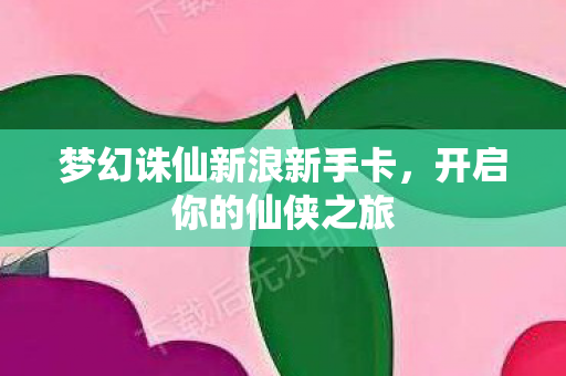梦幻诛仙新浪新手卡图片