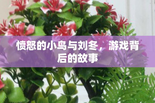 愤怒的小鸟与刘冬图片