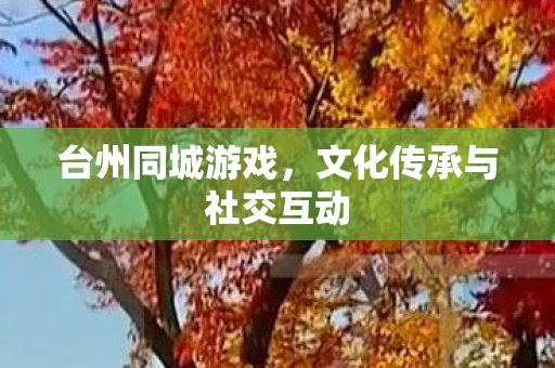 文化传承与社交互动图片