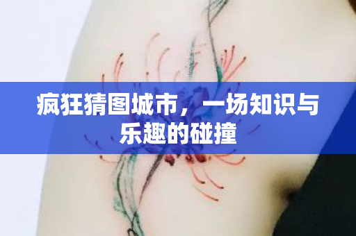 一场知识与乐趣的碰撞图片