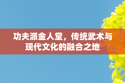 传统武术与现代文化的融合之地图片