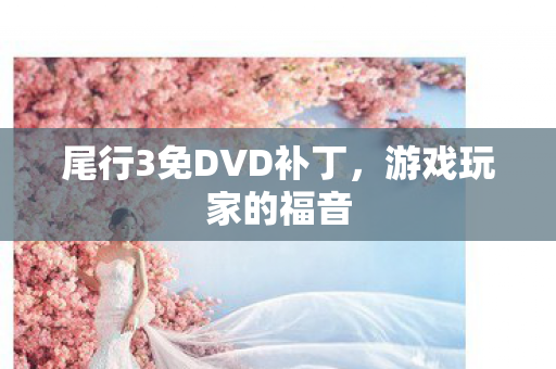 尾行3免DVD补丁图片