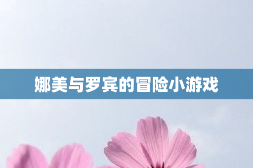 娜美与罗宾的冒险小游戏图片