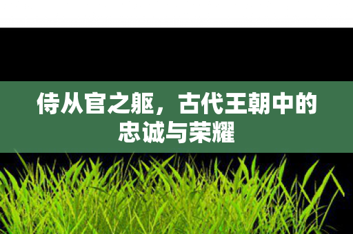 古代王朝中的忠诚与荣耀图片