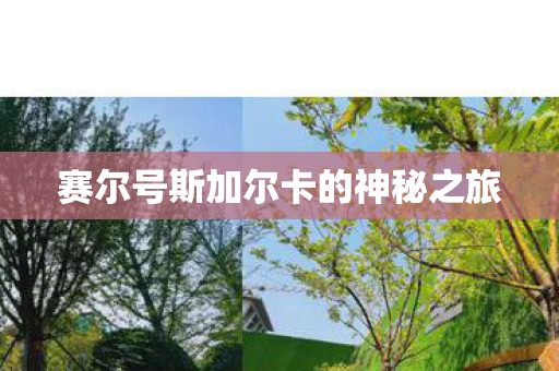 赛尔号斯加尔卡的神秘之旅图片