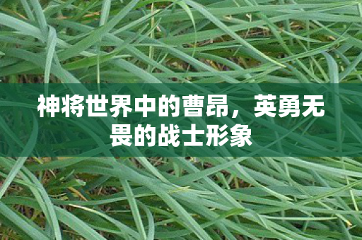 英勇无畏的战士形象图片