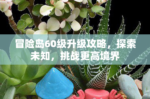 冒险岛60级升级攻略图片
