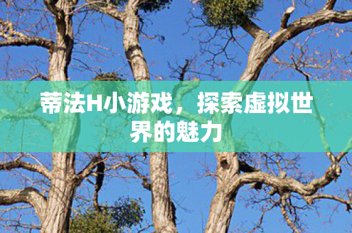 探索虚拟世界的魅力图片