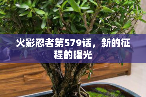 火影忍者第579话图片