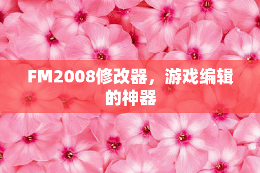 FM2008修改器图片