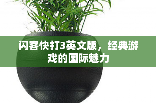 经典游戏的国际魅力图片