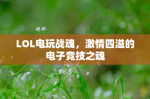激情四溢的电子竞技之魂图片
