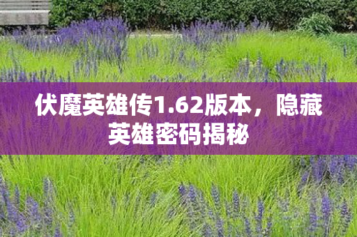 隐藏英雄密码揭秘图片
