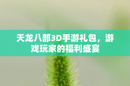天龙八部3D手游礼包图片