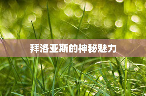 拜洛亚斯的神秘魅力图片