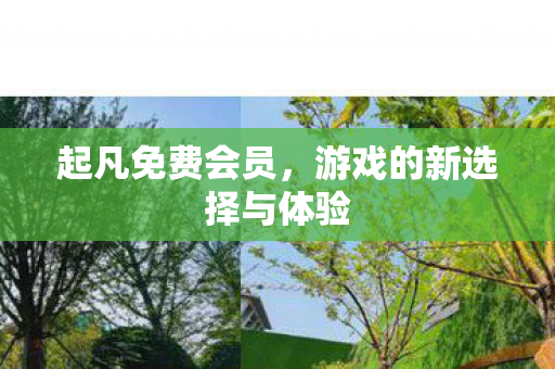 游戏的新选择与体验图片