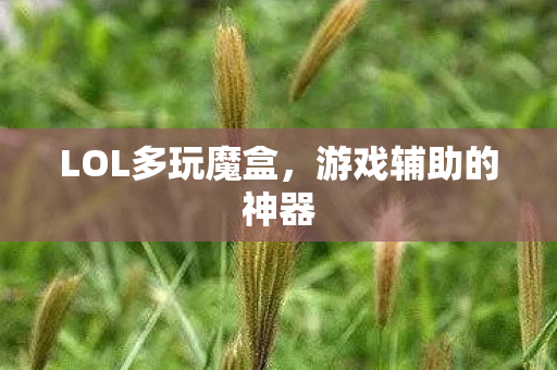 LOL多玩魔盒图片