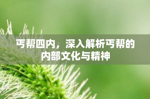 深入解析丐帮的内部文化与精神图片