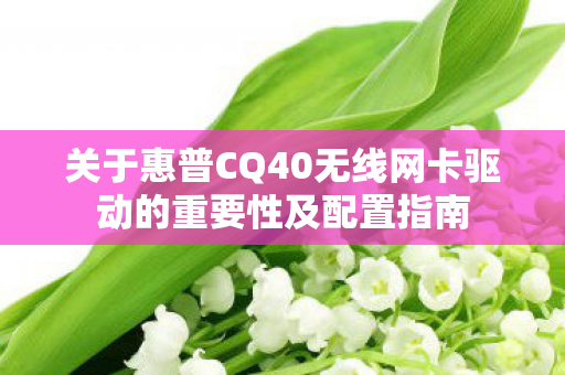 关于惠普CQ40无线网卡驱动的重要性及配置指南图片