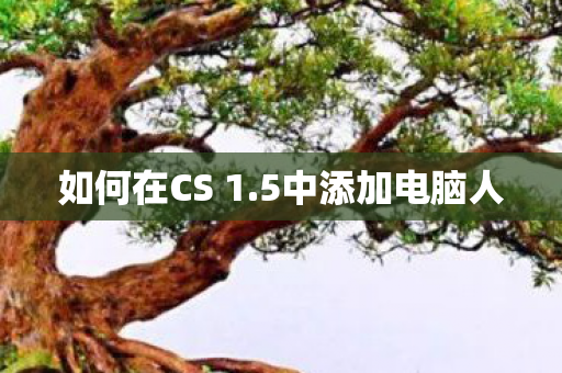 如何在CS 1图片