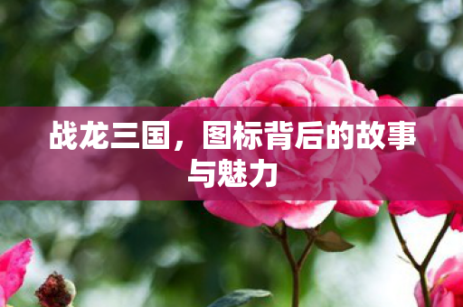 图标背后的故事与魅力图片