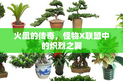 怪物X联盟中的炽烈之翼图片