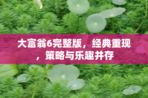 大富翁6完整版图片