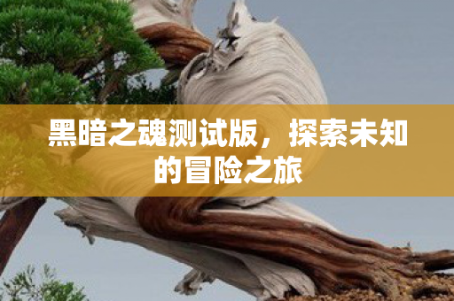 探索未知的冒险之旅图片