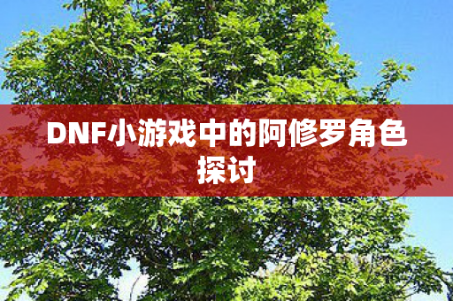 DNF小游戏中的阿修罗角色探讨图片