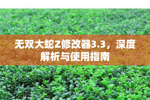无双大蛇Z修改器3图片