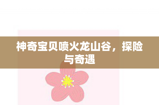 神奇宝贝喷火龙山谷图片