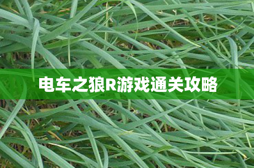 电车之狼R游戏通关攻略图片