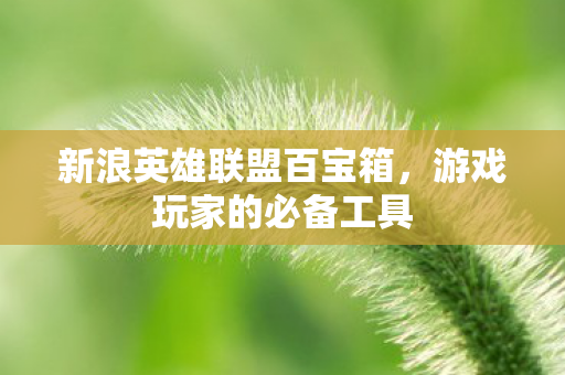 新浪英雄联盟百宝箱图片