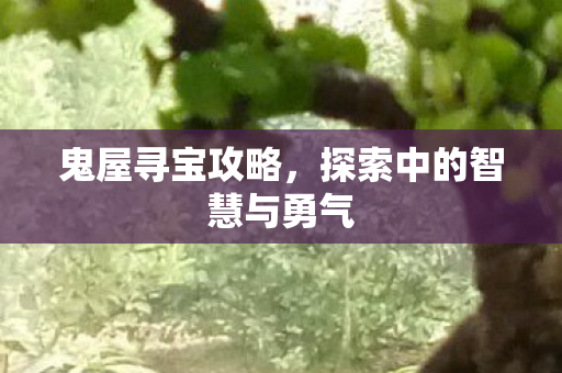 探索中的智慧与勇气图片