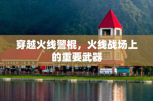 火线战场上的重要武器图片