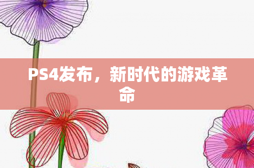 新时代的游戏革命图片