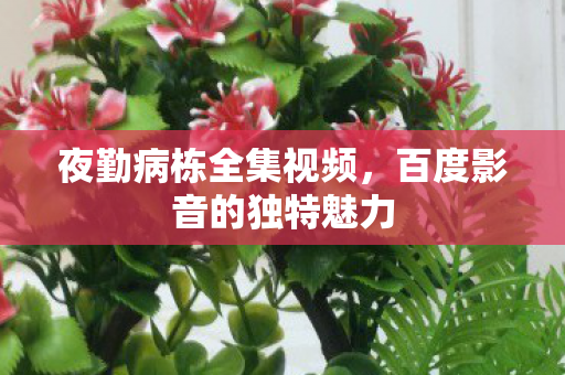 百度影音的独特魅力图片