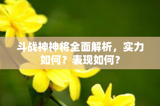 斗战神神将全面解析图片