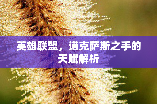 诺克萨斯之手的天赋解析图片