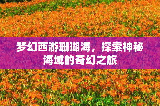 探索神秘海域的奇幻之旅图片