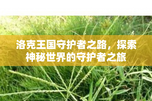 探索神秘世界的守护者之旅图片
