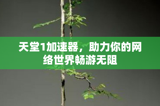 助力你的网络世界畅游无阻图片
