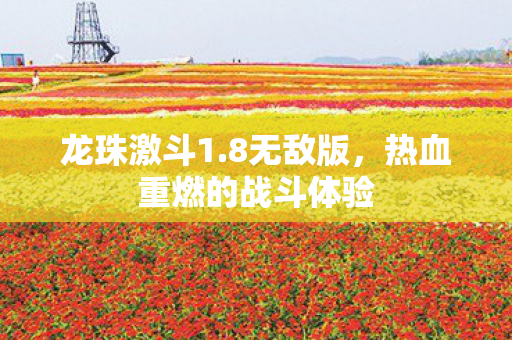 热血重燃的战斗体验图片