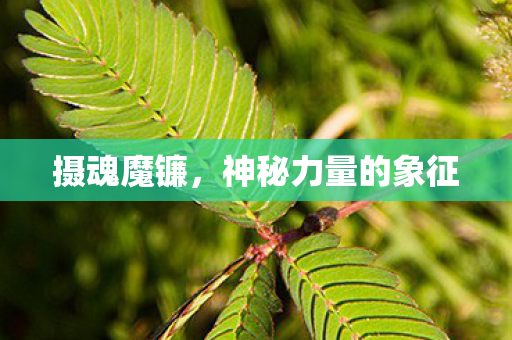 神秘力量的象征图片
