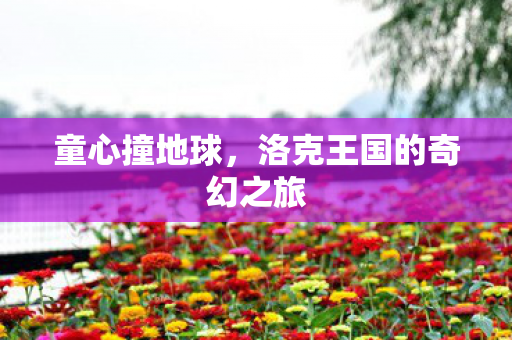 洛克王国的奇幻之旅图片