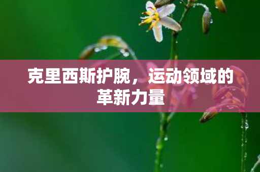 运动领域的革新力量图片