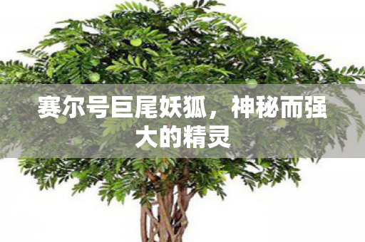 神秘而强大的精灵图片