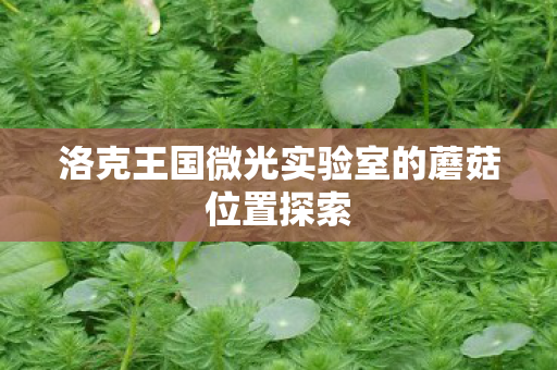 洛克王国微光实验室的蘑菇位置探索图片