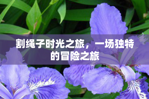 一场独特的冒险之旅图片