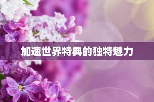 加速世界特典的独特魅力图片